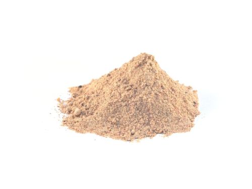 Bloodworm